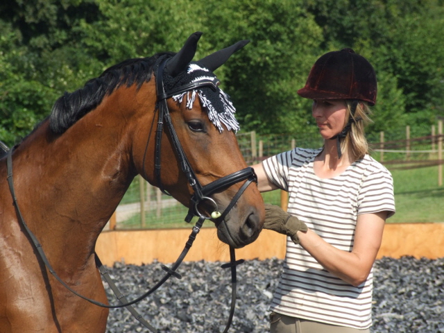 Bella Tivana, Hengst Tivano von Tmmler